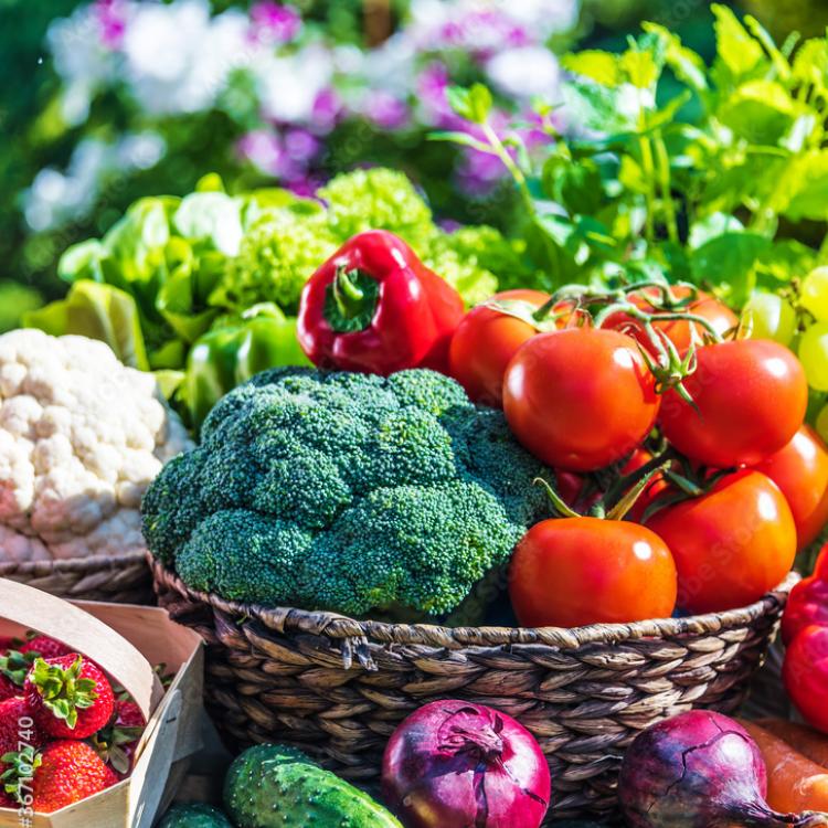  basket full of vegetables