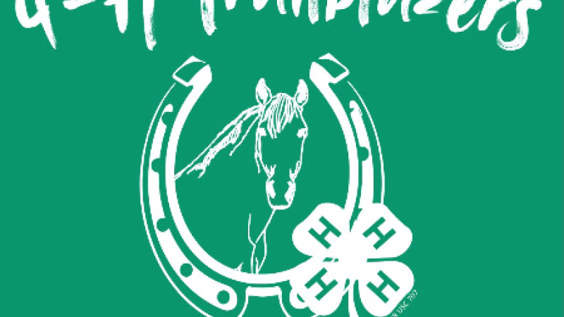 4-H Trailblazers Horse Club